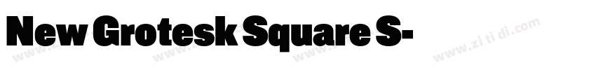 New Grotesk Square S字体转换 New Grotesk Square S字体转换